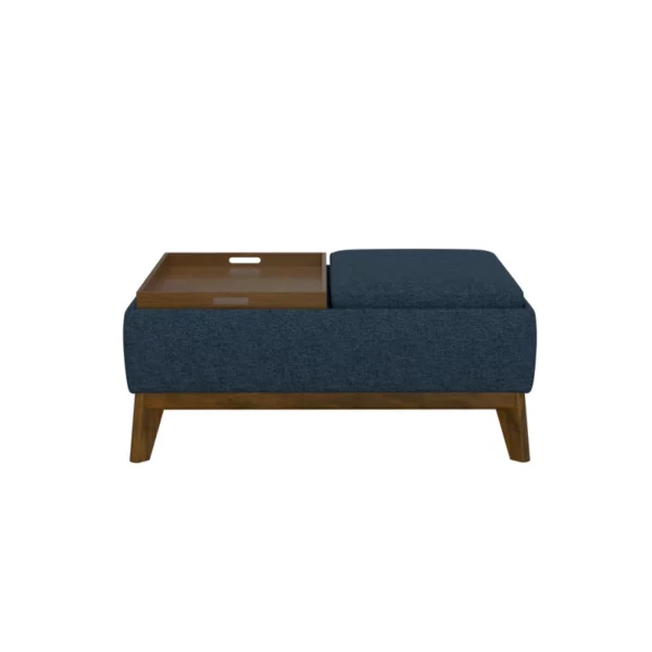 Auviana Mid-Century Modern Storage Ottoman with Reversible Tray Cushions